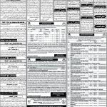 ای پیپر 13 اگست 2026ء — page 8