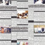 Daily bakhbar Quetta.17 October 2026 — page 8